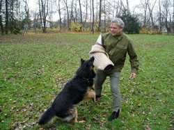 Ch. Brrix Barracuda Aces