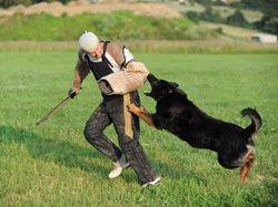 Ch. Gar z Dašického zátiší