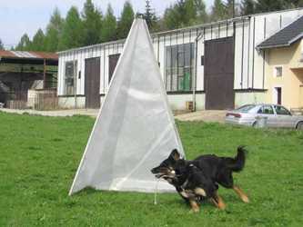 Arie od Koňské hřívy